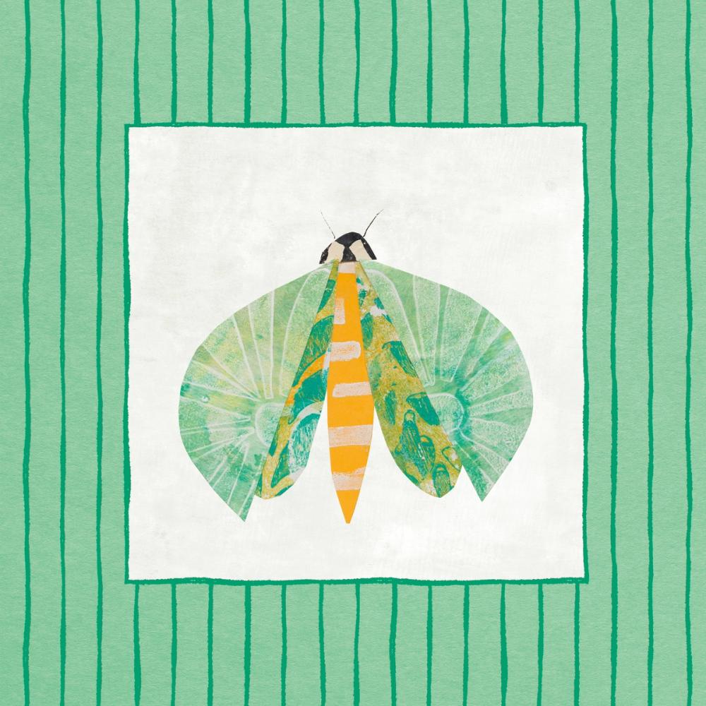Collage Insects II