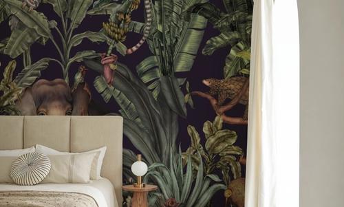 Jungle Kingdom, Space