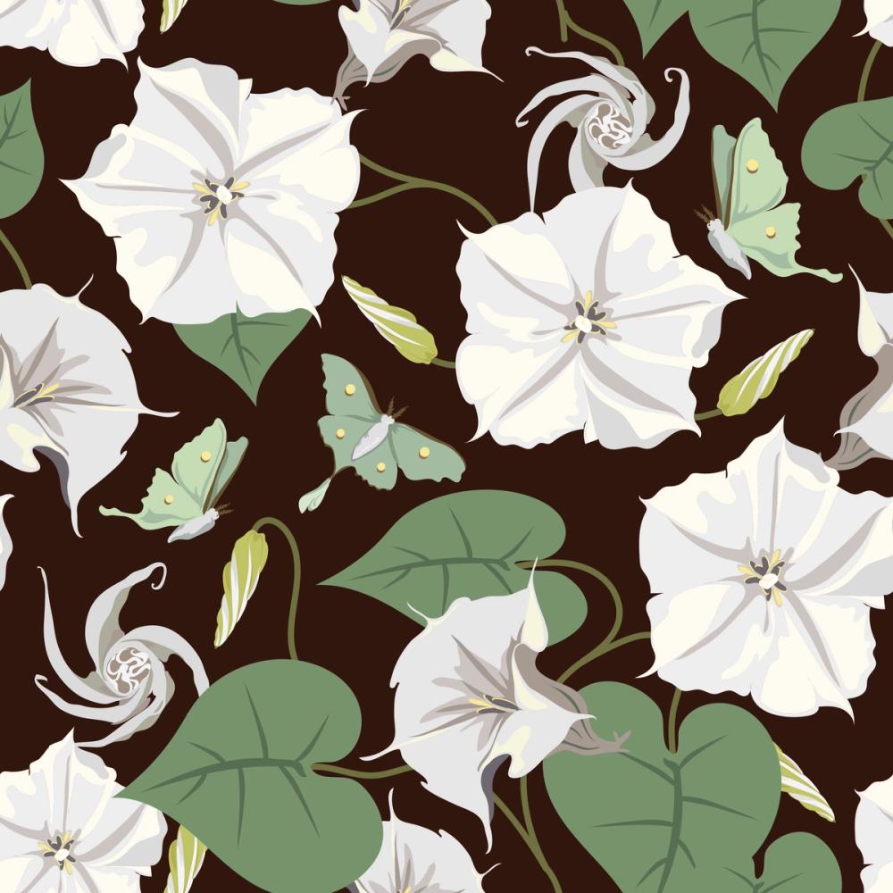 Moon Vine, Chocolate