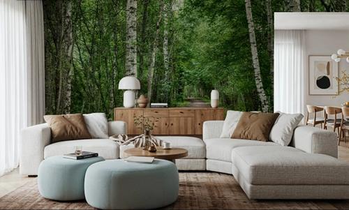 Dark Birch Forest