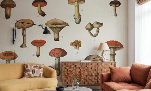 Mushroom Chart I light