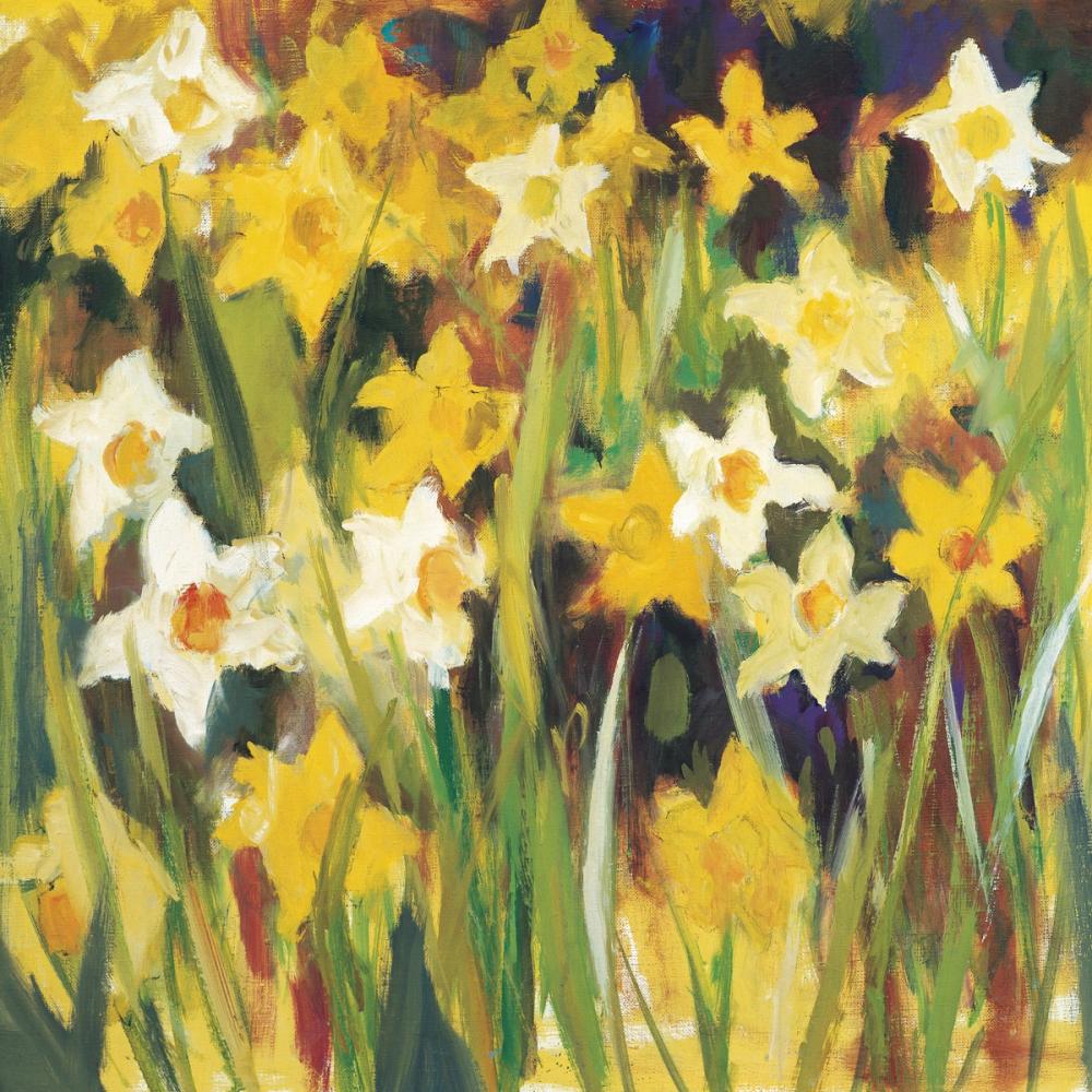The Color of Spring