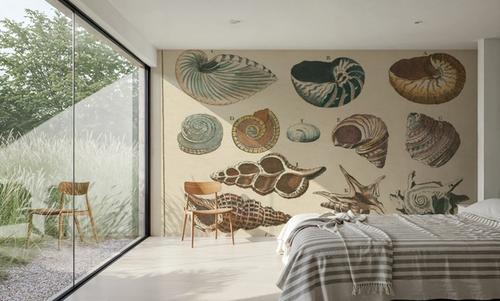 Shell Etchings I