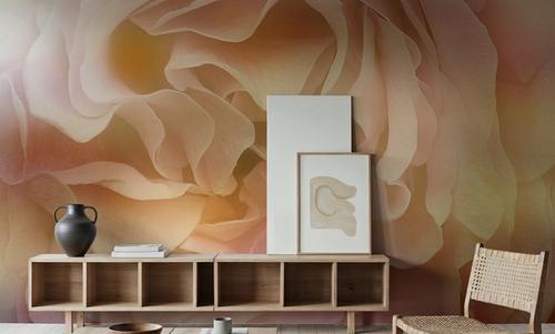 Soft Petals
