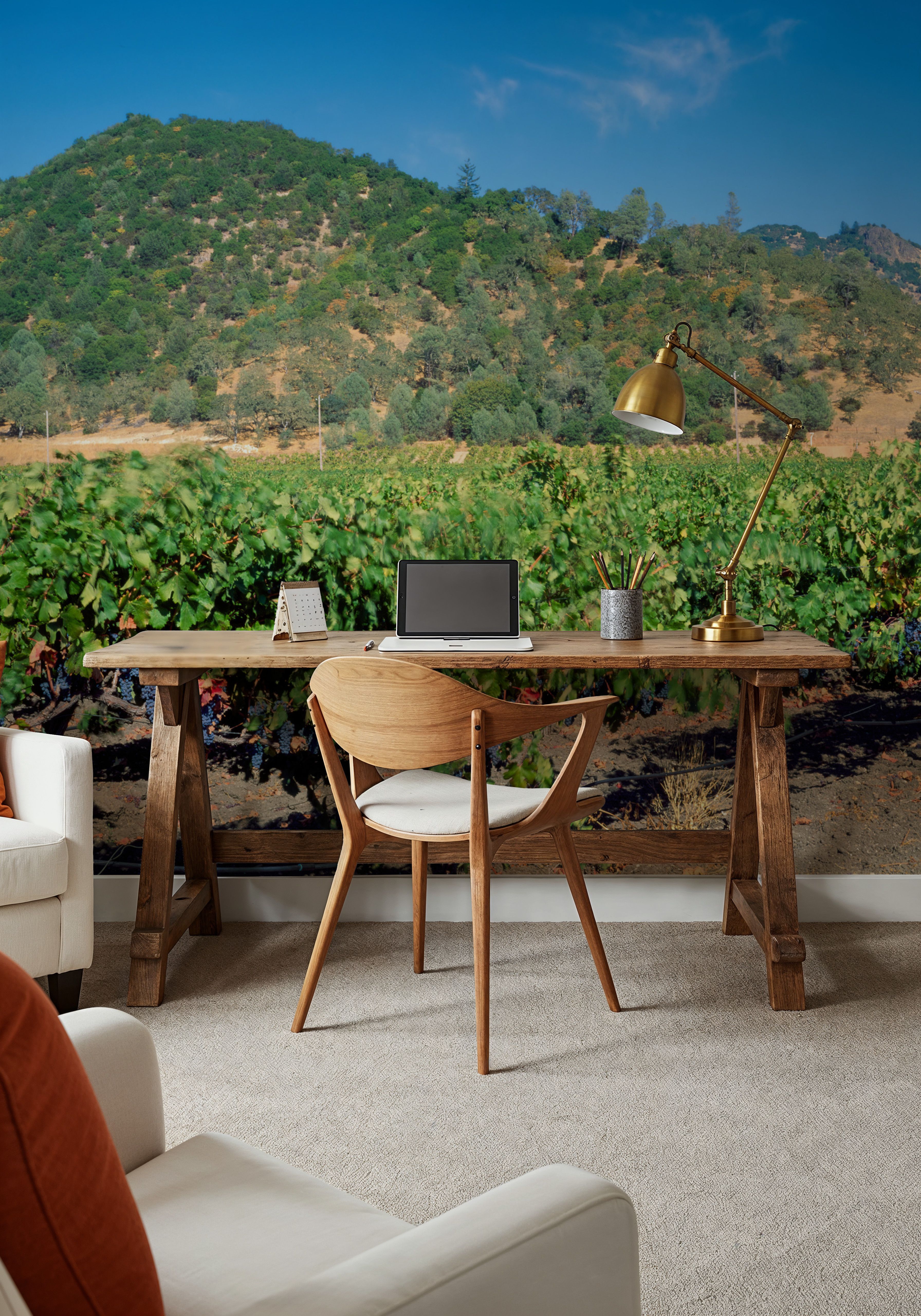 Vineyard Splendor