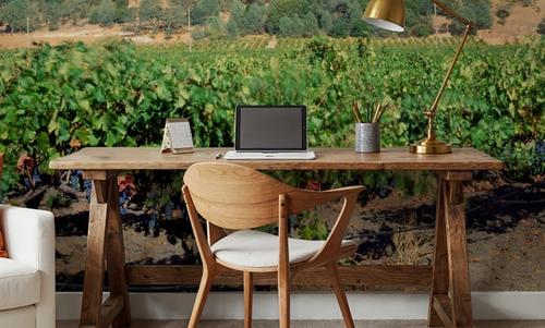 Vineyard Splendor