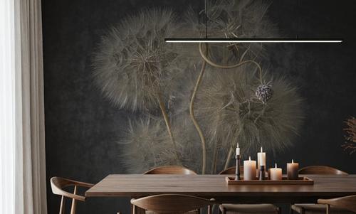 Delicate Dandelion