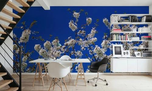 Azure Blossom