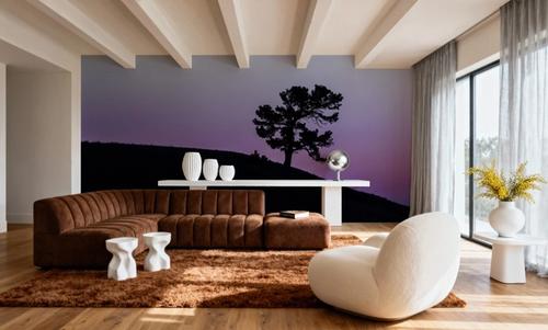 Limber Pine BW