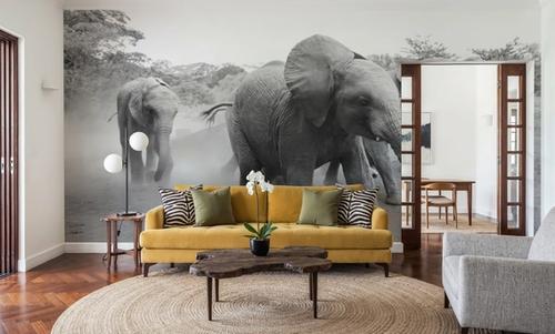 Elephant Race BW