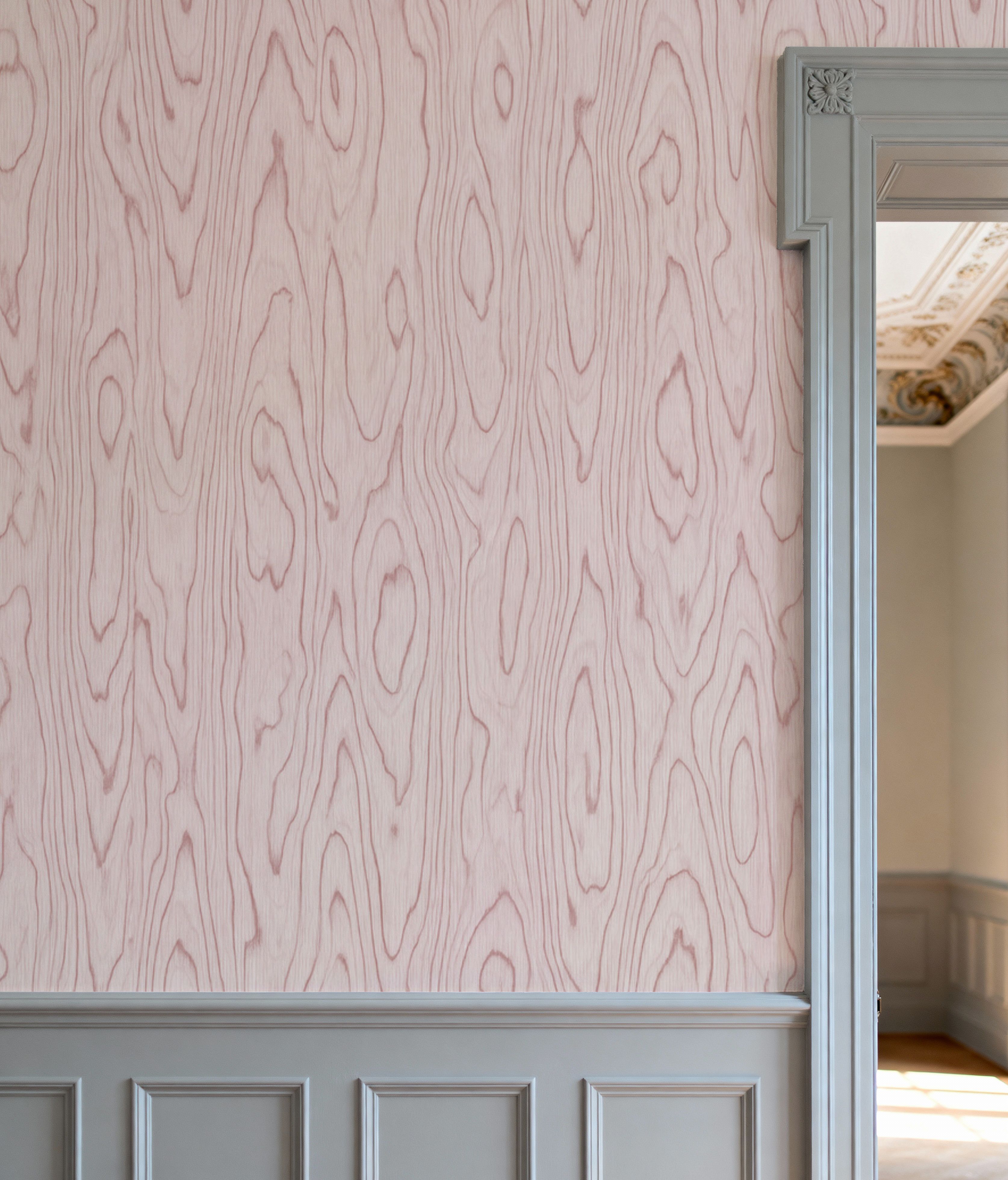 Conoid Grain, Alizarin Pink