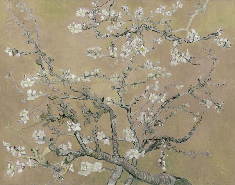 Almond Blossom, Warm Sand