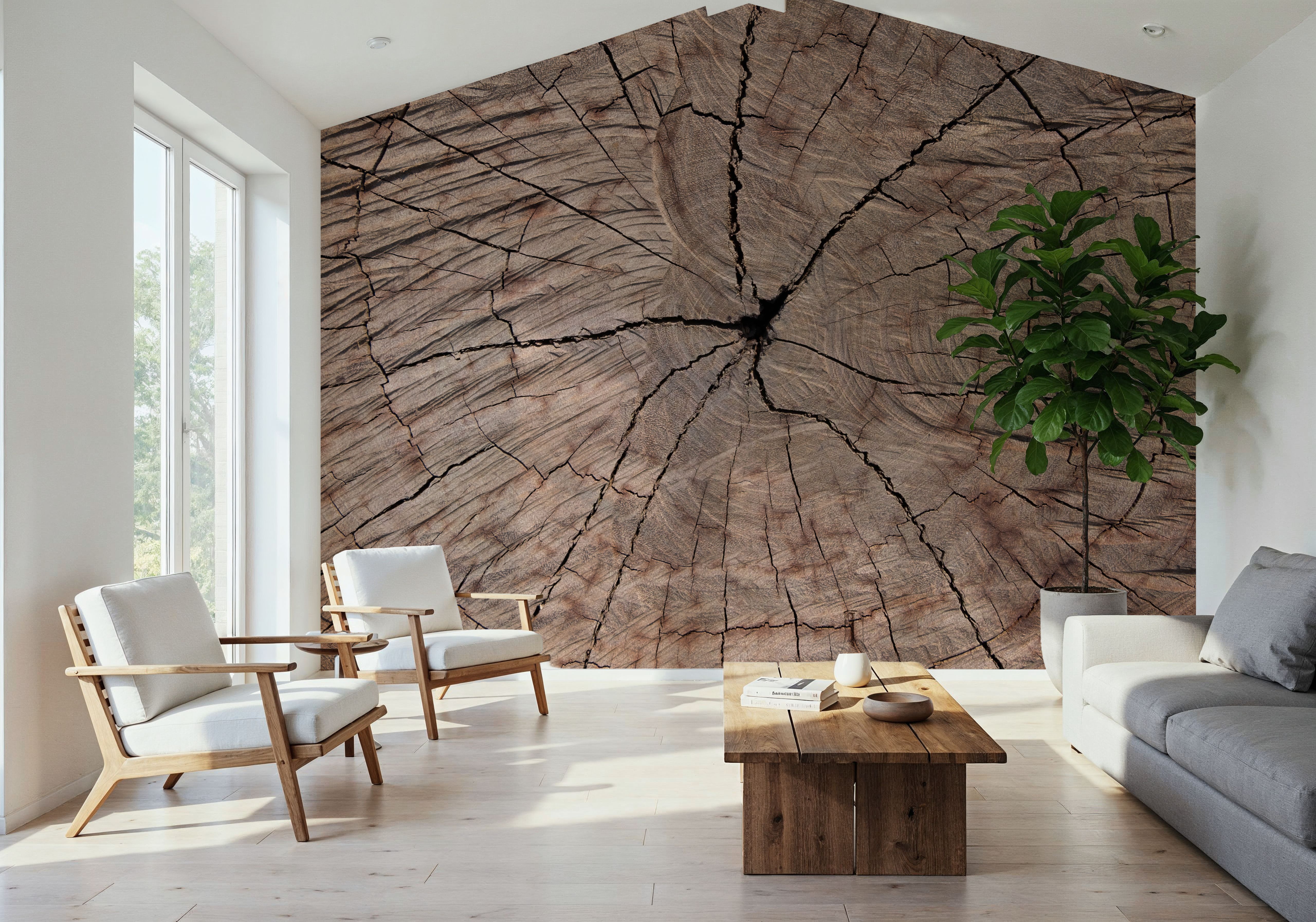 Tree Ring Portrait, Wallpaper