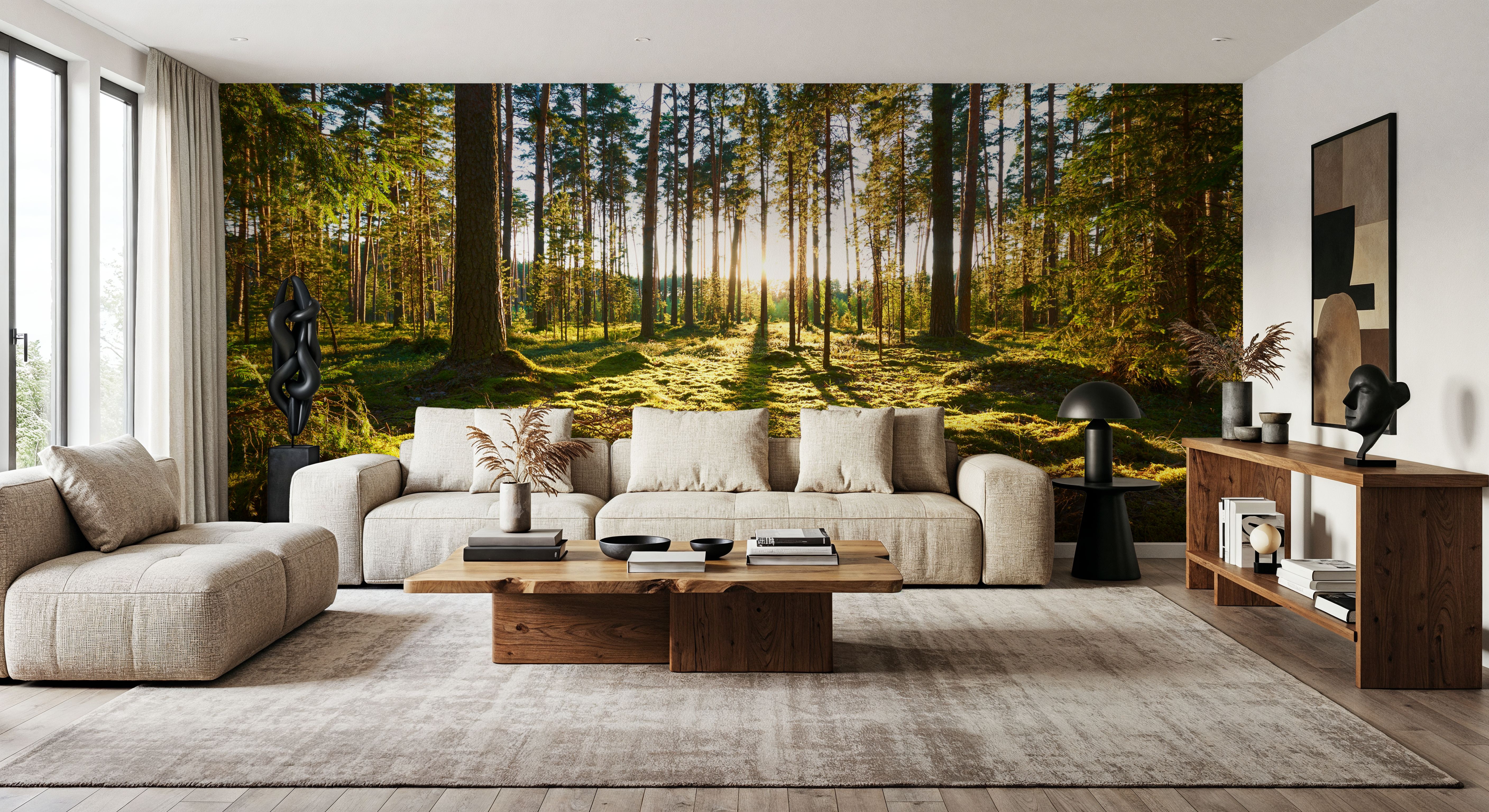 Pine Forest Sunrise, Wallpaper