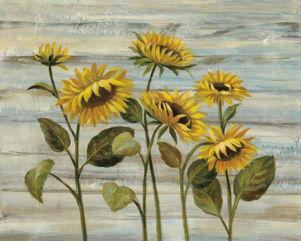 Cottage Sunflowers