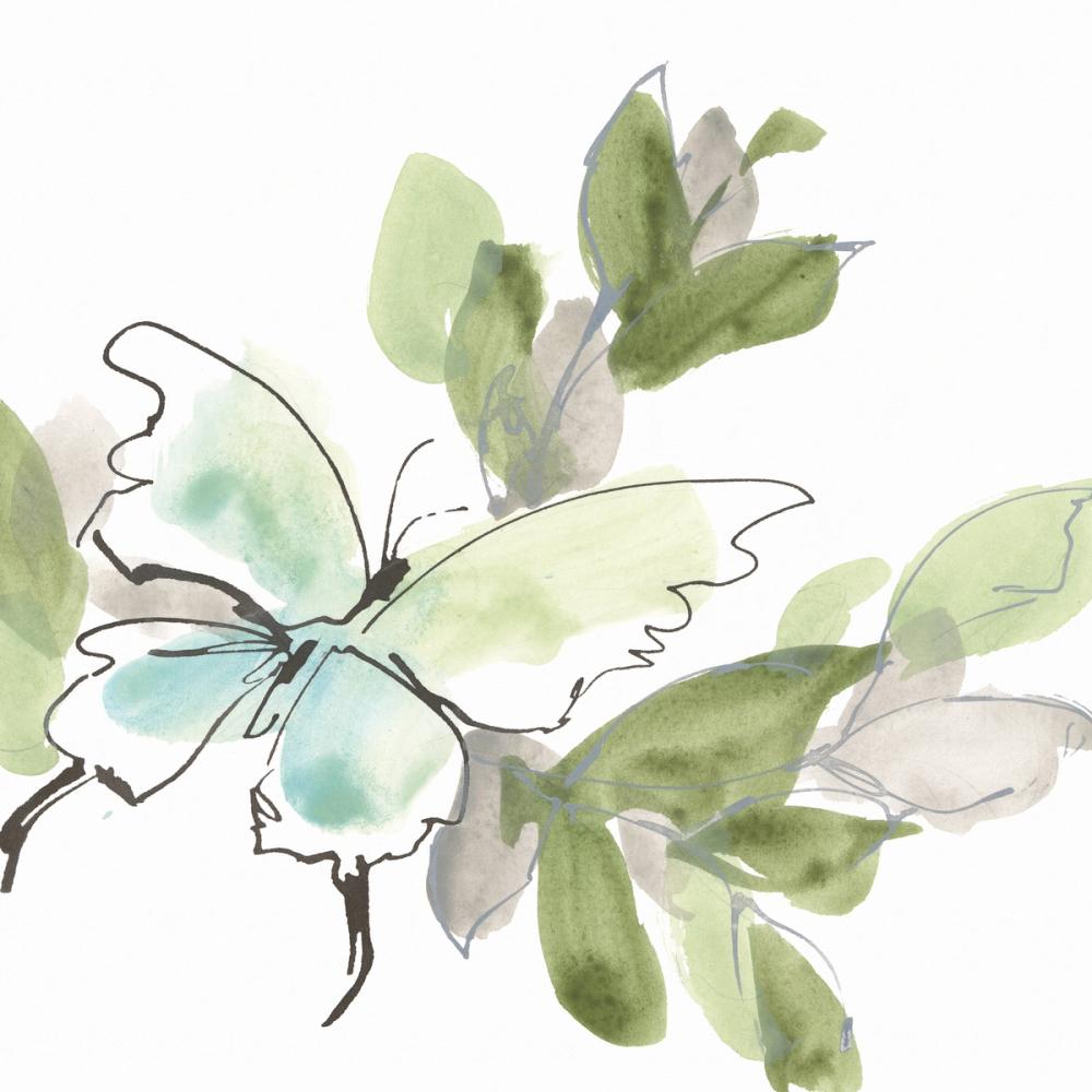 Social Butterflies V