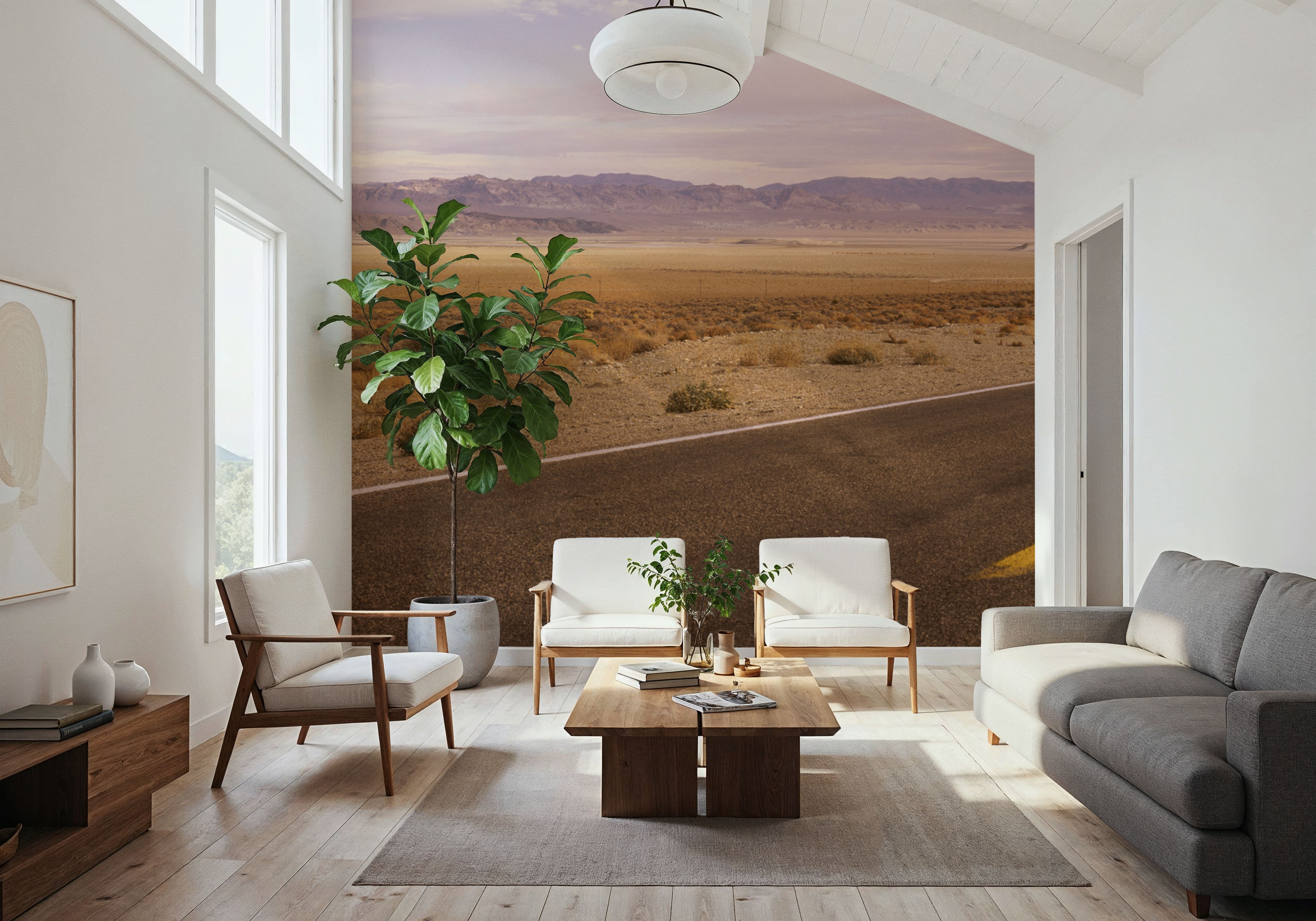 Desert Horizon Journey