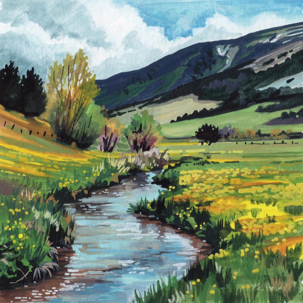 Spring Stream