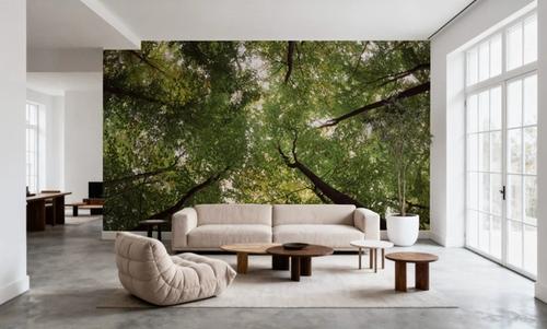 Emerald Canopy