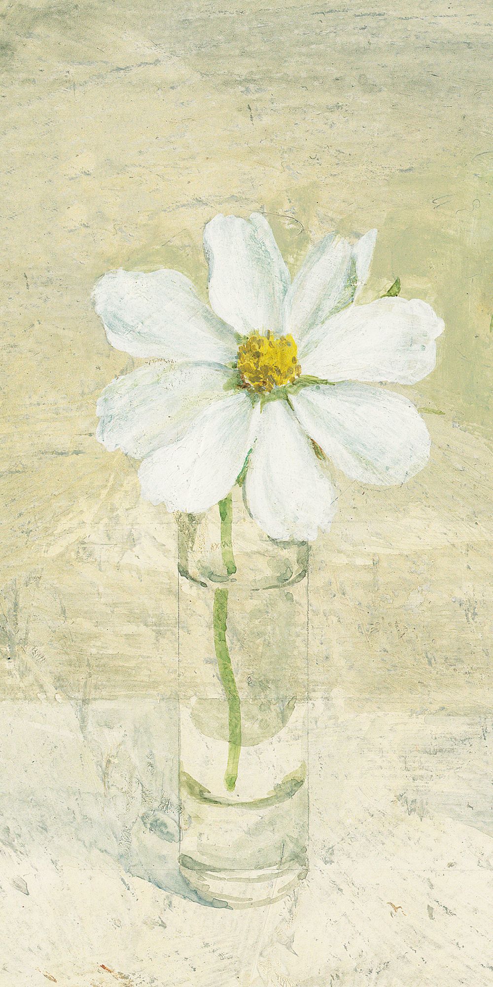 Cosmos in Glasses IV