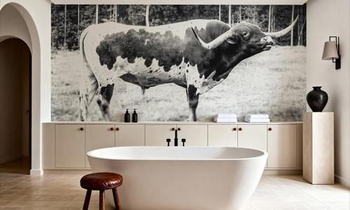 Longhorn Bull BW
