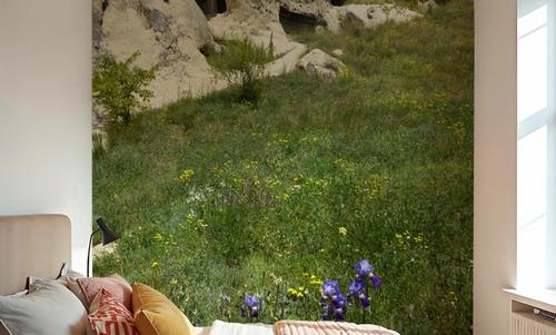 Wildflower Cavern