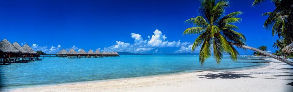 Tropical Paradise Retreat