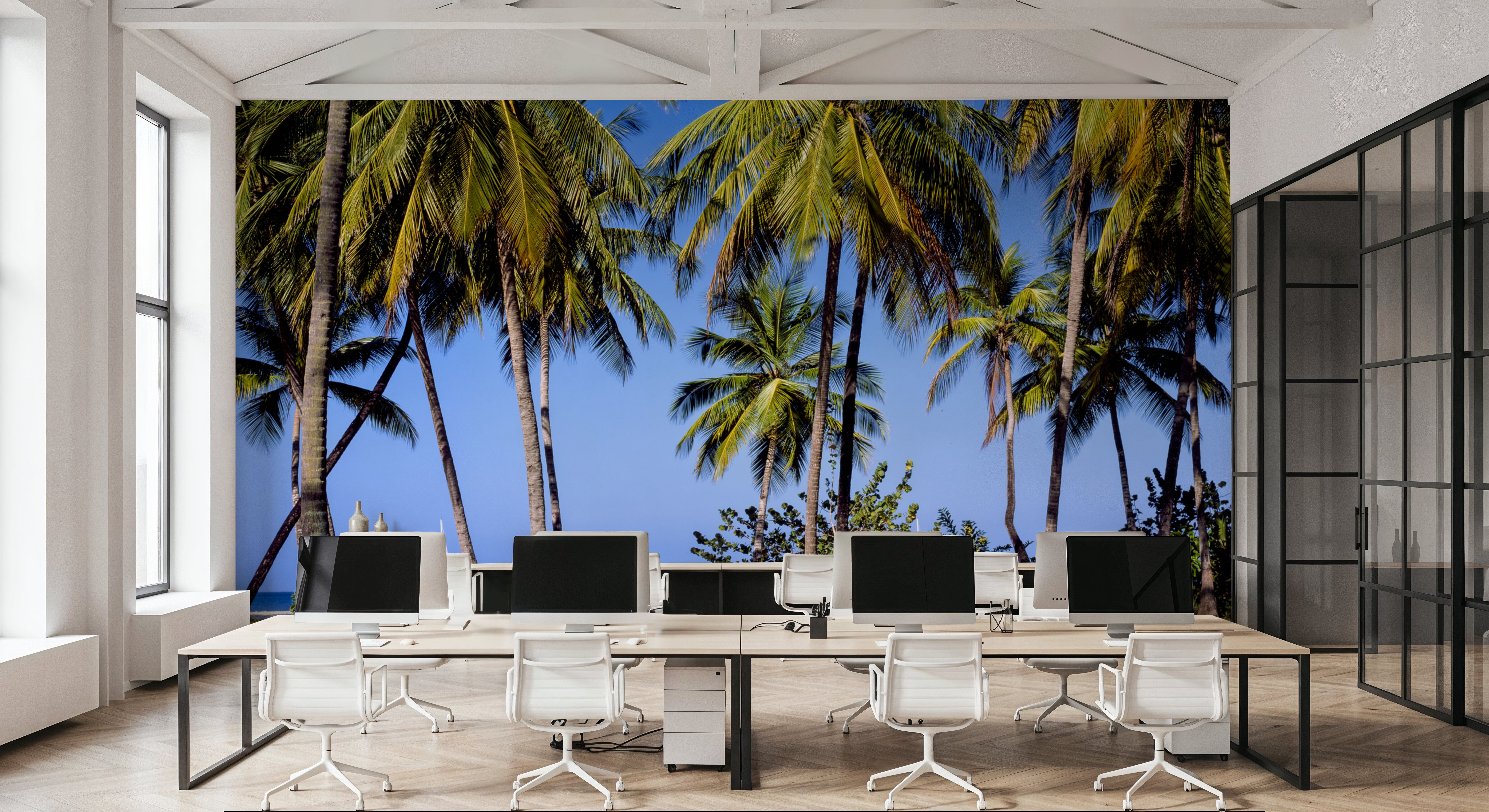 Sailing Through Paradise