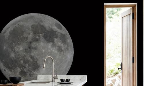 Spring Moon Rising