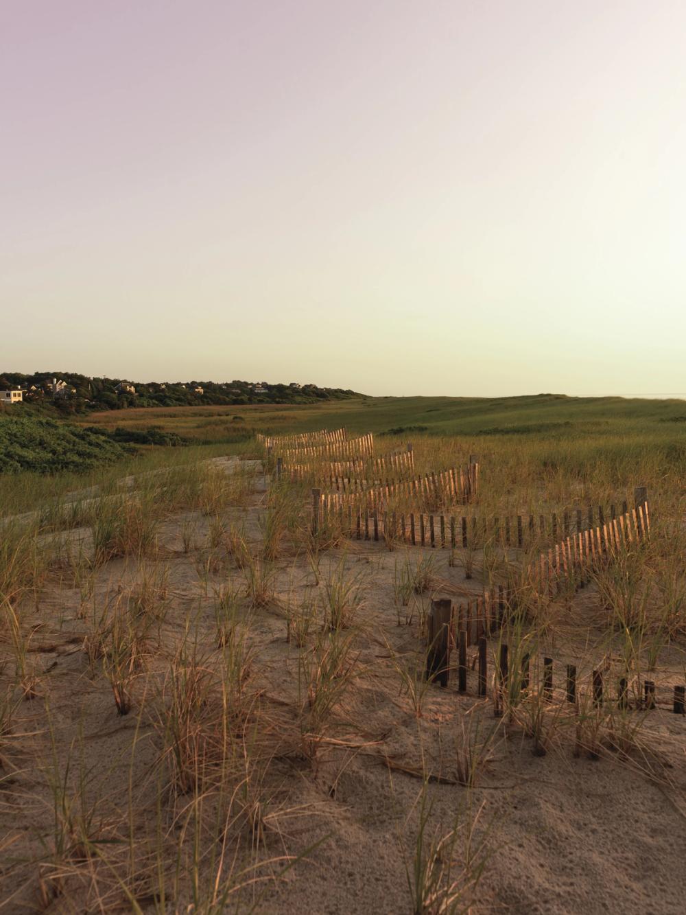 Light over the Dunes