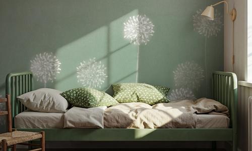 Hello Alliums