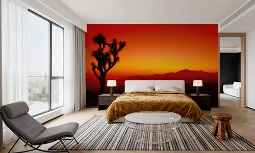 Joshua Tree Twilight