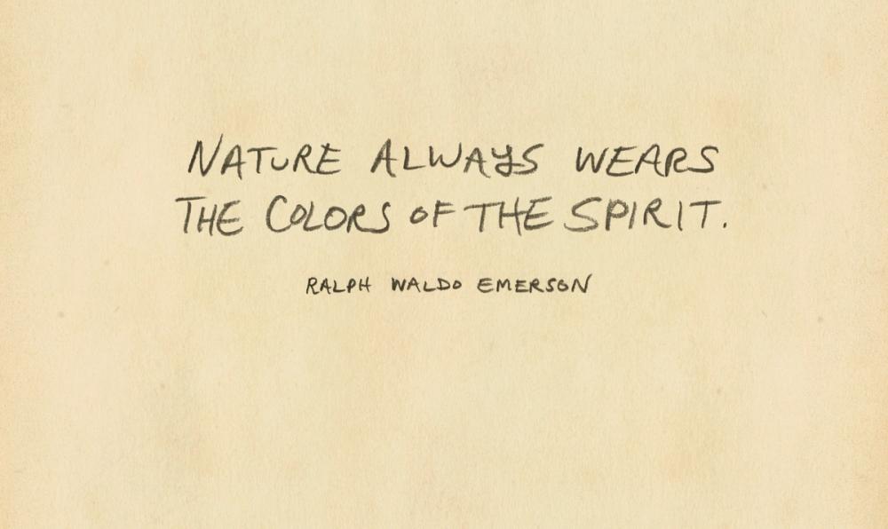 Outdoor Adventure VIII