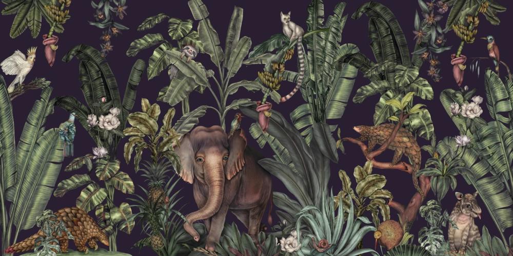 Jungle Kingdom, Space