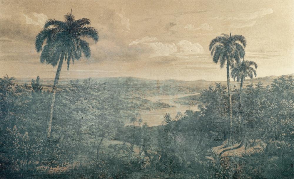 The New Land