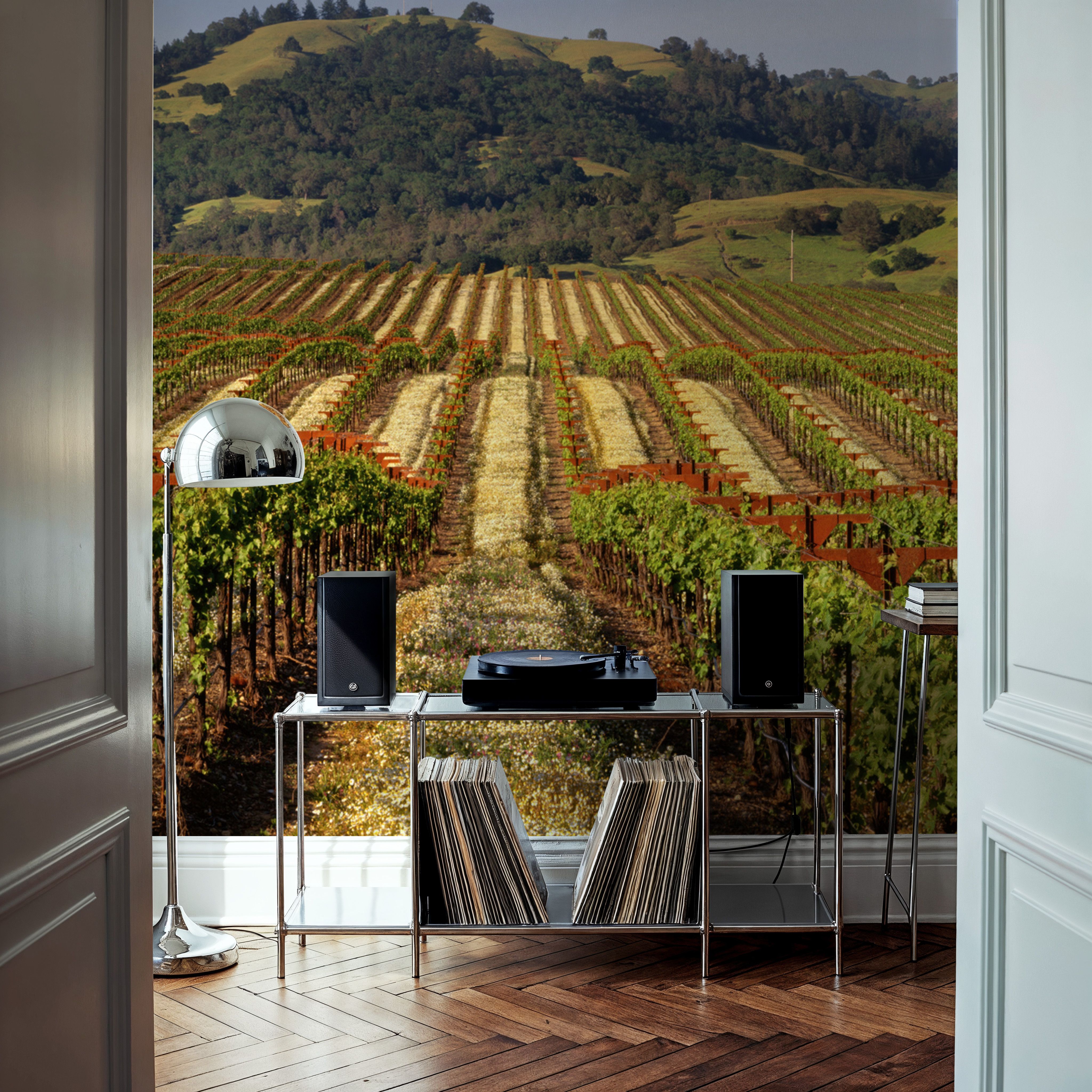 Vineyard Dreams