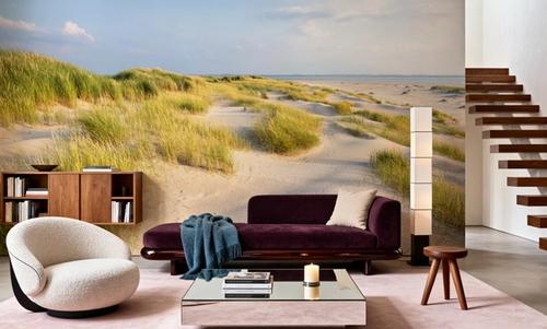 Beach Grass Dunes