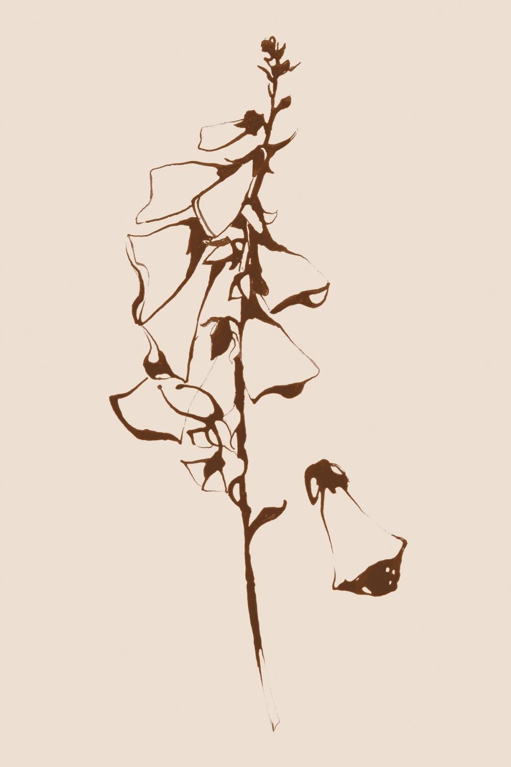 Ink Foxglove Sepia
