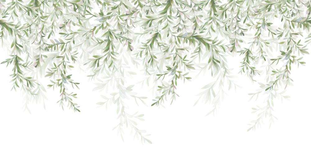 Lush Canopy, Fresh Green