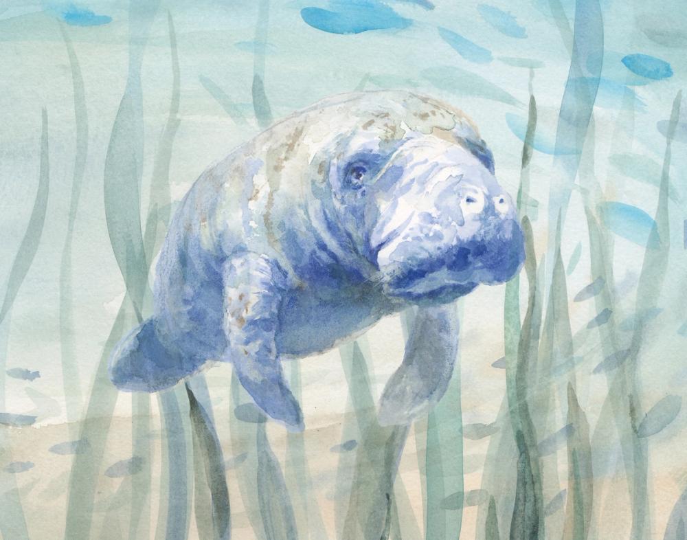Manatee Undersea