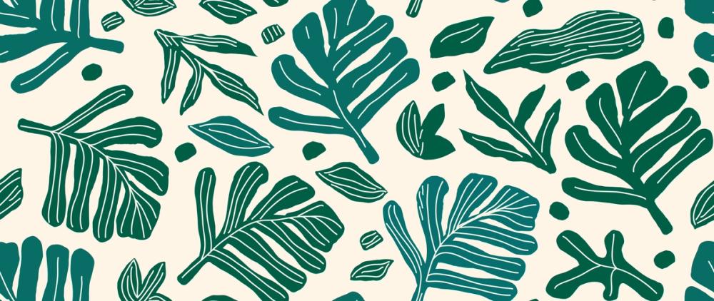 Monstera Cuttings, Green