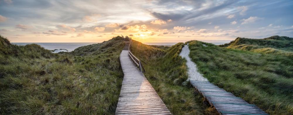 Double Boardwalk