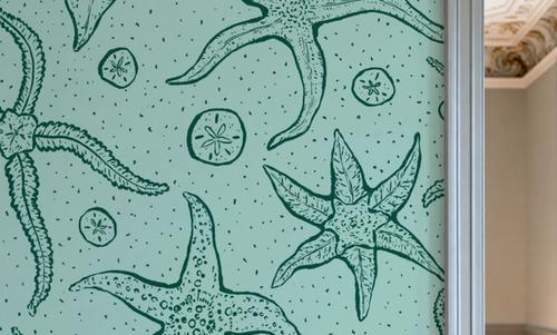 Echinoderms, Light Blue