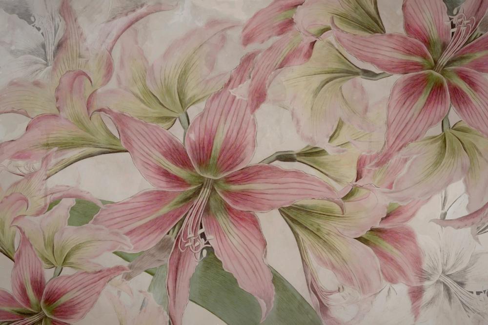  Amarantus dream Vivid