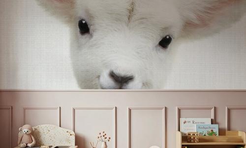 Peekaboo Baby Sheep
