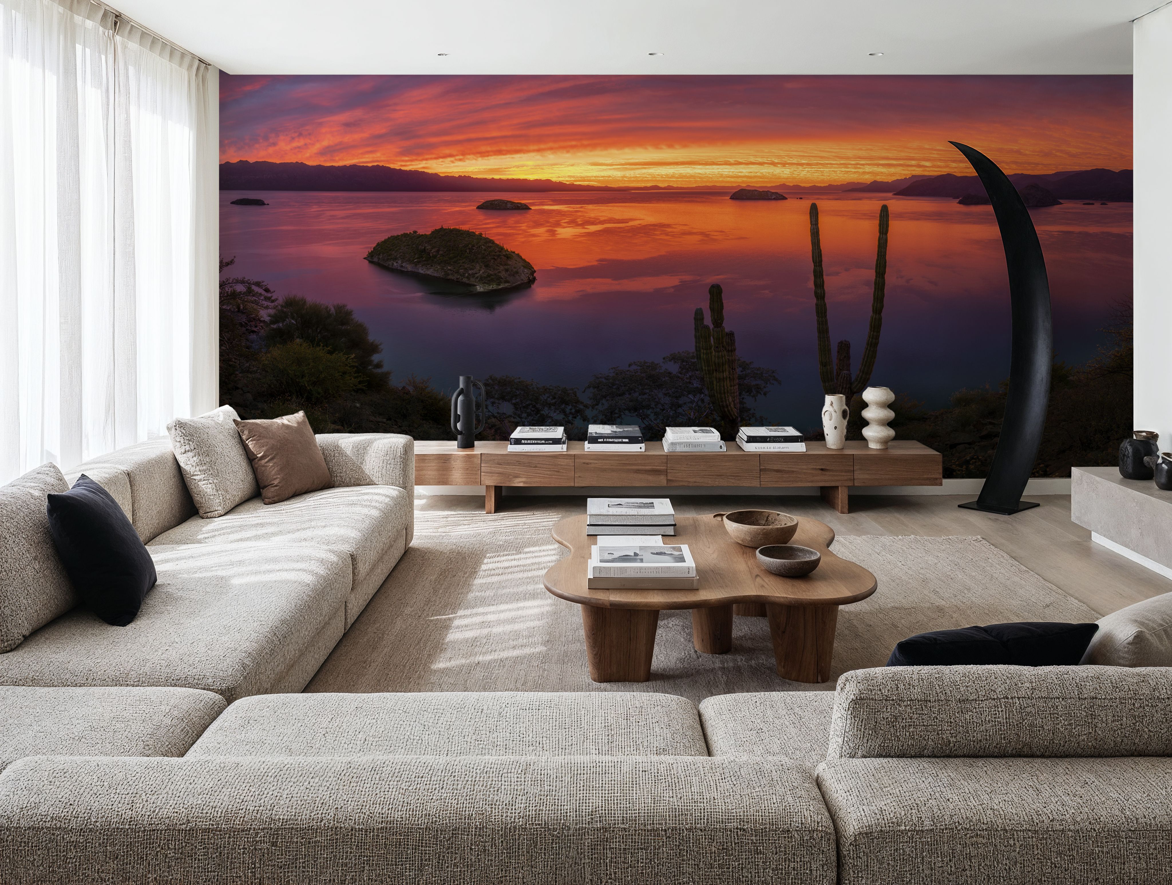 Cardon Cactus Sunset