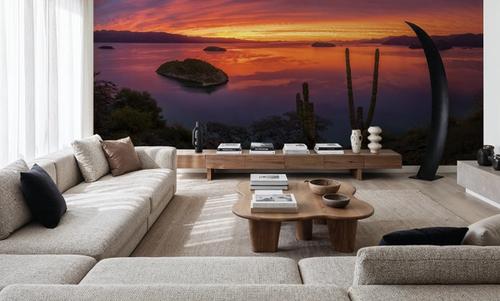 Cardon Cactus Sunset