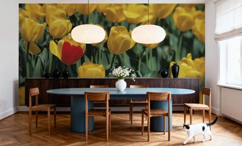 The Standout Tulip