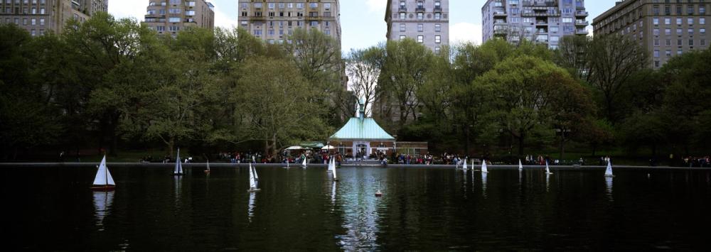 Urban Oasis Sailboats