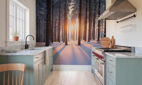 Snowy Woods at Sunset